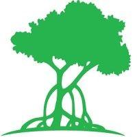 mangrove property management logo image