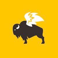 buffalo wild wings logo image