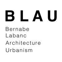 b l a u logo image