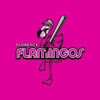 florence flamingos logo image