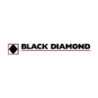 black diamond lp logo image