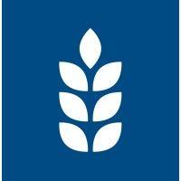 camgrain stores ltd logo image