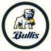 bullis school logo image