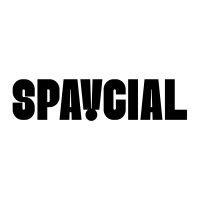 spaycial logo image