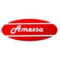 amexsa corp logo image