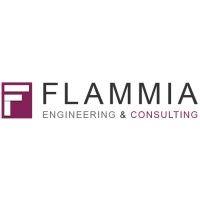 flammia engineering & consulting gmbh logo image