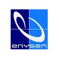 enysem logo image