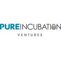 pure incubation ventures