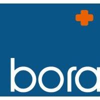 bora pharmaceuticals logo image