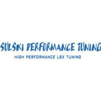 sulski performance