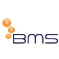 business management systems logo image