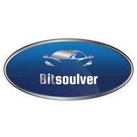 bitsoulver logo image