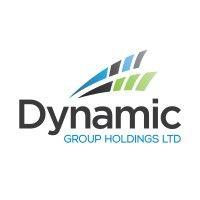 dynamic group holdings ltd logo image