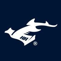 gohammerhead logo image