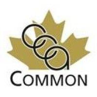 common collection agency inc logo image