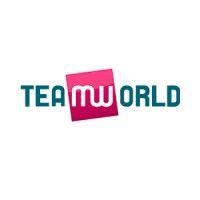 team world logo image