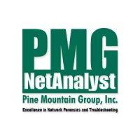 pmg netanalyst logo image