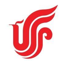 air china limited ( north america) logo image