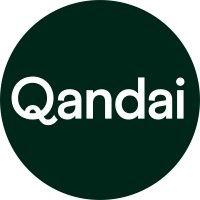 qandai logo image