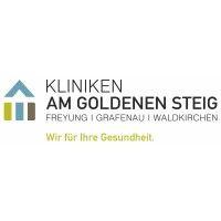 kliniken am goldenen steig ggmbh