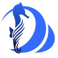 seahorse energy logo image