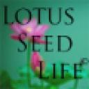 logo of Lotus Seed Life