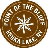 point of the bluff group logo image