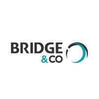 bridge & co. logo image