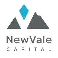 newvale capital logo image