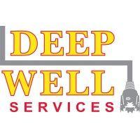 deep well services logo image