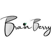 brainberry logo image