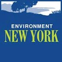 environment new york logo image