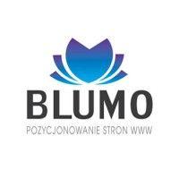 pozycjonowanie stron blumo