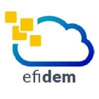 efidem sas logo image