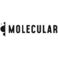 molecular worldwide logo image