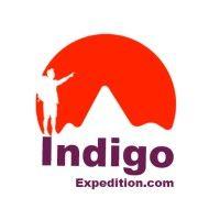 indigo expedition logo image