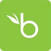 bamboohr logo image