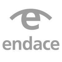 endace logo image