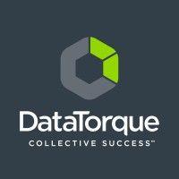 datatorque ltd logo image