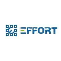 effort em solution provider logo image