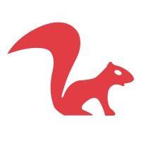 red squirrel technologies logo image