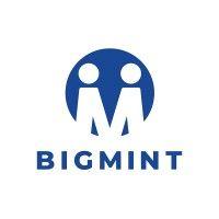 bigmint (formerly steelmint/coalmint) logo image