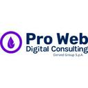 logo of Pro Web Consulting