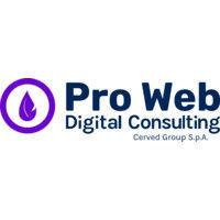 pro web consulting logo image