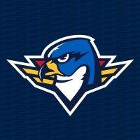 springfield thunderbirds logo image