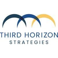 third horizon strategies logo image