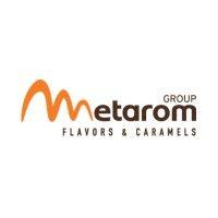 metarom group logo image