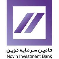 novin investment bank group logo image