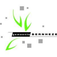 gemeente bernheze logo image