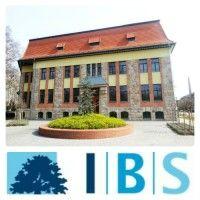 international business school logo image